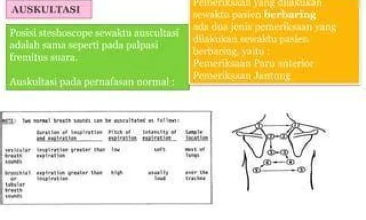 Dokter memeriksa paru-paru pasien batuk