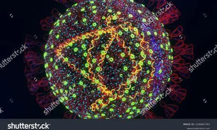 Struktur Virus Omicron Struktur mikroskopis virus omicron B.1.1.529