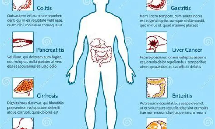 Gangguan Pencernaan Ilustrasi gangguan sistem pencernaan penyebab abdominal pain