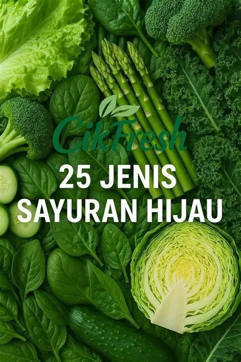Sayuran Hijau untuk Pencernaan Kumpulan sayuran hijau segar tinggi serat