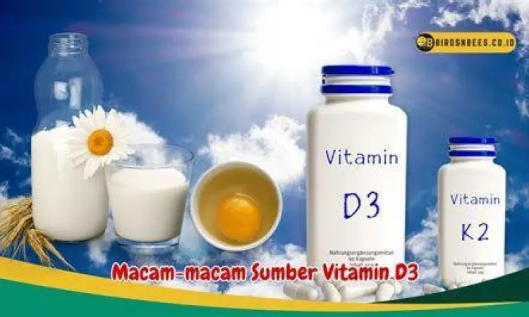 Manfaat vitamin D3 bagi imunitas