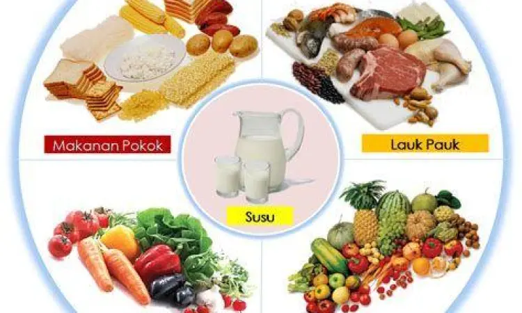 Nutrisi seimbang setelah cek bmi online