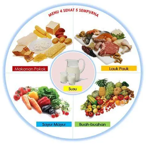 Nutrisi Sehat Seimbang Nutrisi seimbang setelah cek bmi online