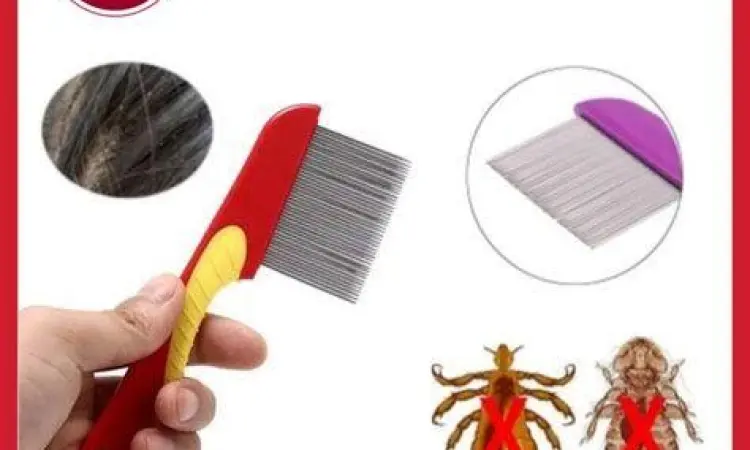 Sisir serit untuk membersihkan telur kutu