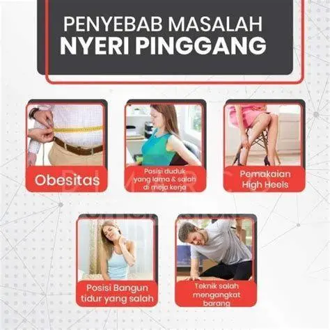 Fisioterapi Profesional Pasien sedang melakukan fisioterapi punggung