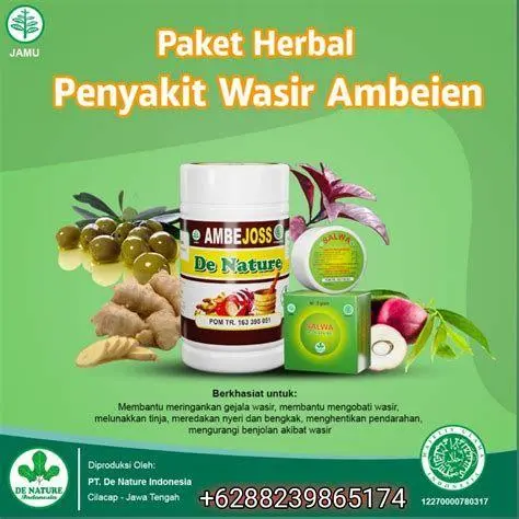 Bahan Alami Wasir Tanaman lidah buaya dan witch hazel untuk obat wasir