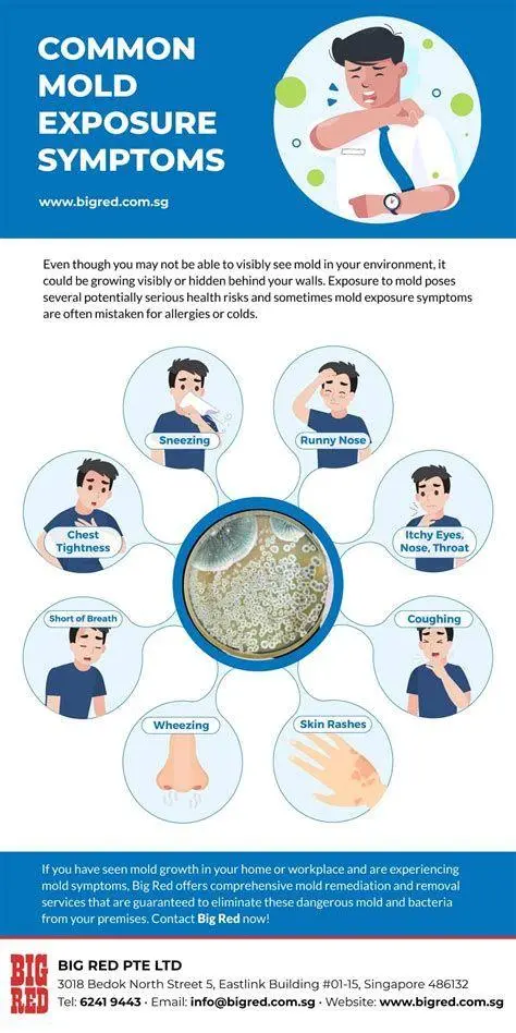 Gejala Paparan Jamur Infografis gejala kesehatan akibat paparan jamur hitam