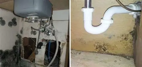 Jamur Akibat Kebocoran Pipa Pertumbuhan jamur hitam di bawah wastafel karena pipa bocor