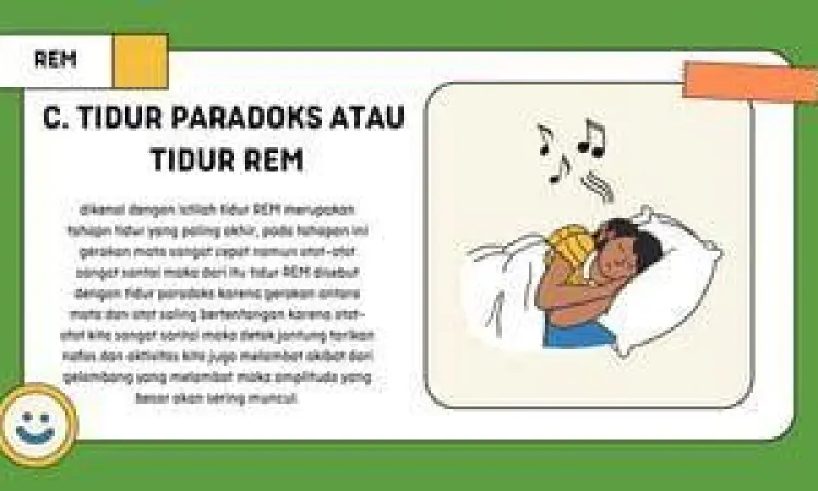 Grafik aktivitas otak saat fase tidur REM